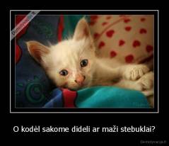 O kodėl sakome dideli ar maži stebuklai? - 