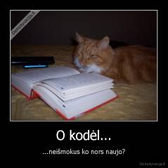 O kodėl... - ...neišmokus ko nors naujo?