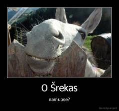 O Šrekas - namuose?