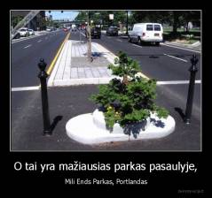 O tai yra mažiausias parkas pasaulyje, - Mili Ends Parkas, Portlandas
