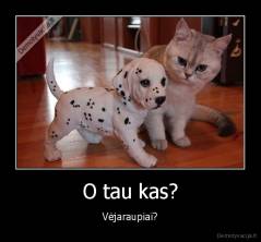 O tau kas? - Vėjaraupiai?
