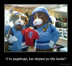 O tu pagalvojai, kas slepiasi po šita kauke? - 