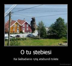 O tu stebiesi - Kai šeštadienio rytą atsibundi tolete