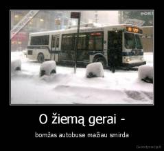 O žiemą gerai - - bomžas autobuse mažiau smirda