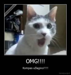 OMG!!!! - Kompas užlagino!!!!!
