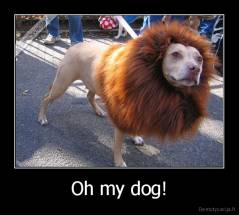 Oh my dog! - 