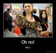 Oh no! - Why?