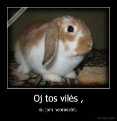 Oj tos vilės , - su jom neprasidėt.