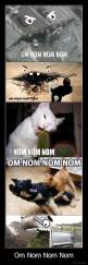 Om Nom Nom Nom - 