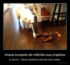 Omaras kovojantis dėl milžiniško ausų krapštuko - su šunimi... Manau šiandienai interneto tikrai užteks.