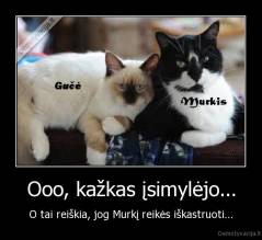 Ooo, kažkas įsimylėjo... - O tai reiškia, jog Murkį reikės iškastruoti...