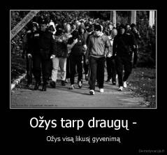 Ožys tarp draugų - - Ožys visą likusį gyvenimą