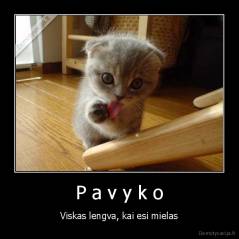 P a v y k o - Viskas lengva, kai esi mielas