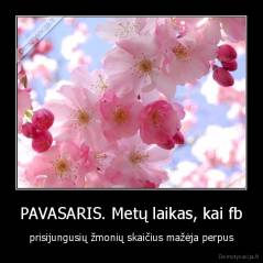 PAVASARIS. Metų laikas, kai fb - prisijungusių žmonių skaičius mažėja perpus