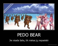 PEDO BEAR - Jie visada šalia, tik niekas jų nepastebi