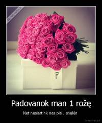 Padovanok man 1 rožę - Net nesiartink nes pisiu snukin 
