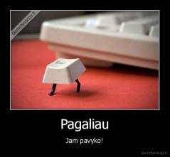 Pagaliau - Jam pavyko!