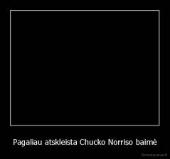 Pagaliau atskleista Chucko Norriso baimė - 