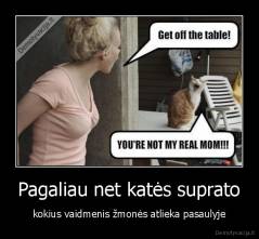 Pagaliau net katės suprato - kokius vaidmenis žmonės atlieka pasaulyje
