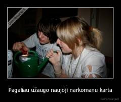 Pagaliau užaugo naujoji narkomanu karta - 
