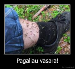 Pagaliau vasara! - 
