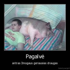 Pagalvė - antras žmogaus geriausias draugas