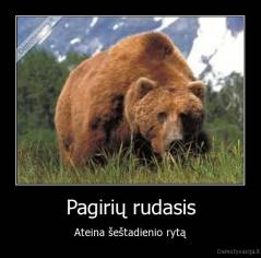 Pagirių rudasis - Ateina šeštadienio rytą