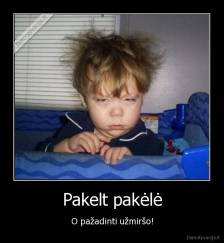 Pakelt pakėlė - O pažadinti užmiršo!