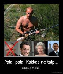 Pala, pala. Kažkas ne taip... - Kubiliaus trūksta !