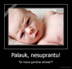 Palauk, nesuprantu! - Tai mane gandras atnese??