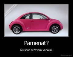 Pamenat? - Niuksas ružavam vabalui!