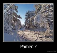 Pameni? - 