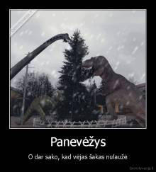 Panevėžys - O dar sako, kad vėjas šakas nulaužė