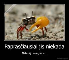 Paprasčiausiai jis niekada - Neturėjo merginos...