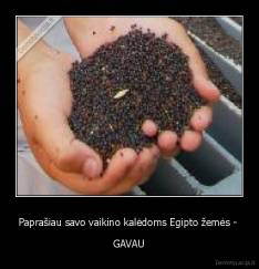 Paprašiau savo vaikino kalėdoms Egipto žemės -  - GAVAU