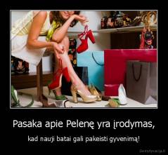 Pasaka apie Pelenę yra įrodymas, - kad nauji batai gali pakeisti gyvenimą!