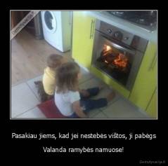 Pasakiau jiems, kad jei nestebės vištos, ji pabėgs - Valanda ramybės namuose!