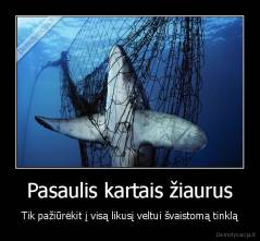 Pasaulis kartais žiaurus - Tik pažiūrėkit į visą likusį veltui švaistomą tinklą