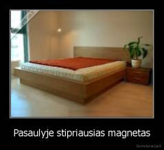 Pasaulyje stipriausias magnetas - 