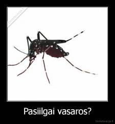 Pasiilgai vasaros? - 
