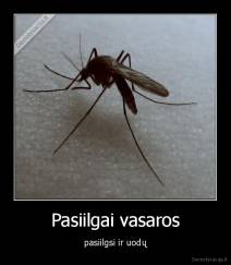 Pasiilgai vasaros - pasiilgsi ir uodų