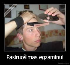 Pasiruošimas egzaminui - 