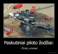 Paskutiniai piloto žodžiai: - - Žiūrėk, prikolas!