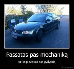 Passatas pas mechaniką - tai kaip sveikas pas gydytoją