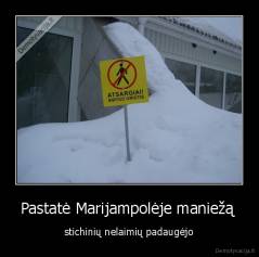 Pastatė Marijampolėje maniežą  - stichinių nelaimių padaugėjo