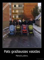 Pats gražiausias vaizdas - Mamyčių akims.