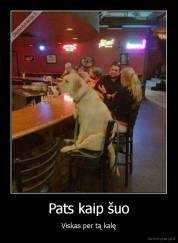Pats kaip šuo - Viskas per tą kalę