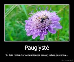 Pauglystė - Tai toks metas, kur net mažiausias pasauly vabalėlis užknisa...