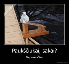 Paukščiukai, sakai? - Ne, nemačiau