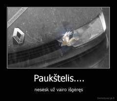Paukštelis.... - nesėsk už vairo išgėręs